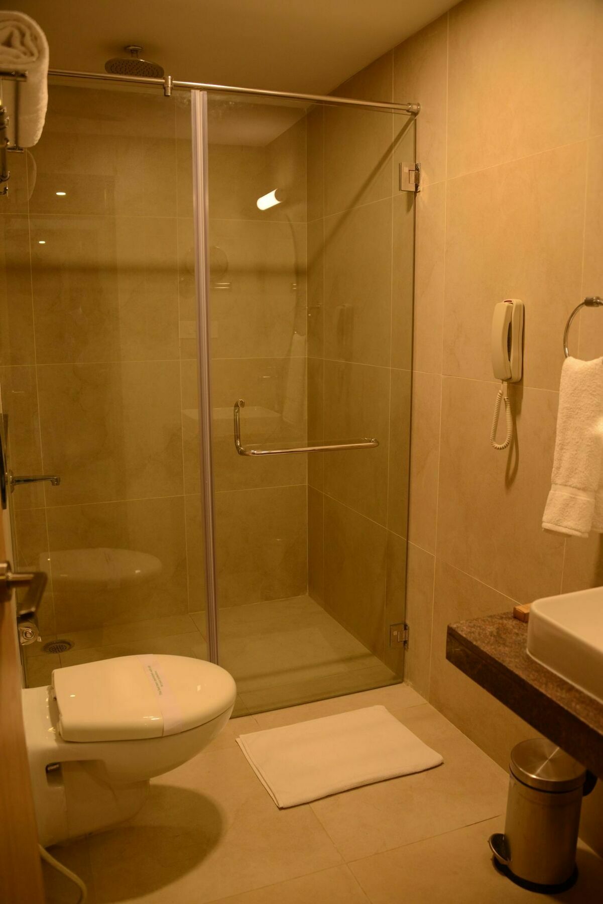 Hotel Blu Iris à Chennai Extérieur photo